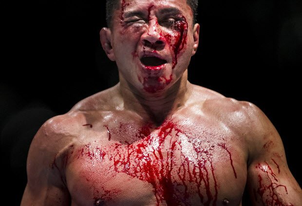 UFC Fight Night - Bisping v Le