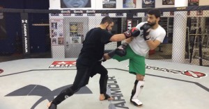 zahabi