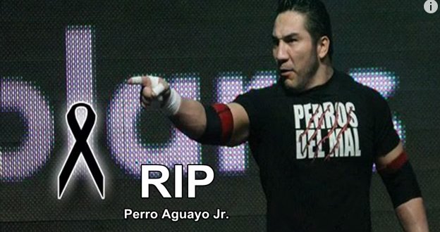 rip-perro