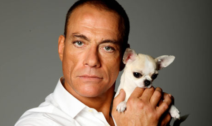 JCVD is working on a sequel to Kickboxer which is expected to drop in 2016.