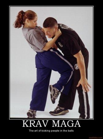 krav-maga-krav-maga-demotivational-poster-1256514685