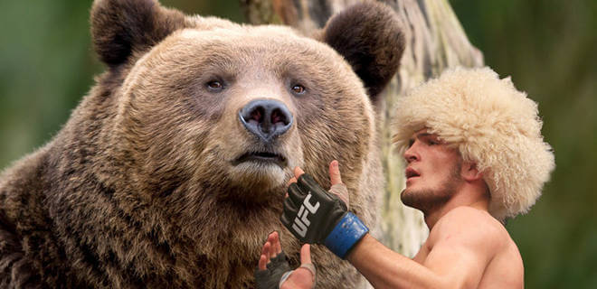 111413-UFC-Khabib-Nurmagomedov-Baits-Bear-PI-CH_20131114203234352_660_320