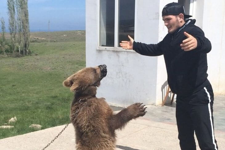 Come at me, bear. 