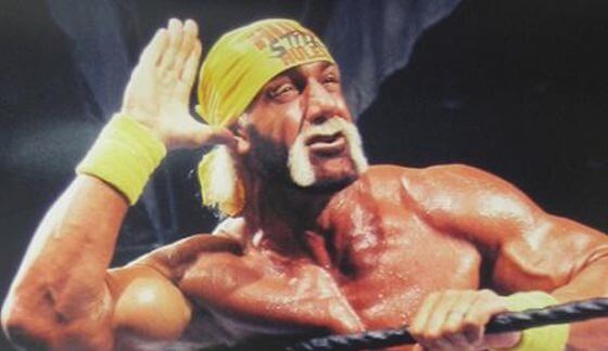 hulk-hogan-ear-cup