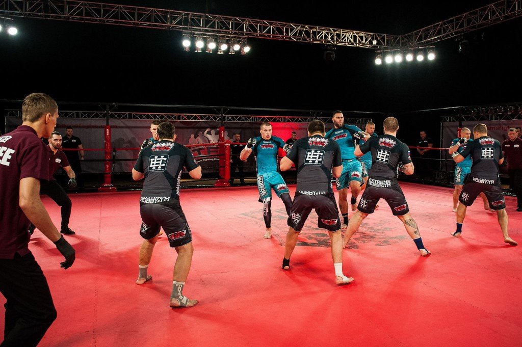 There's already MMA with teams, but it's a complete shitshow. 2 on 2 actually still resembles a fight. 