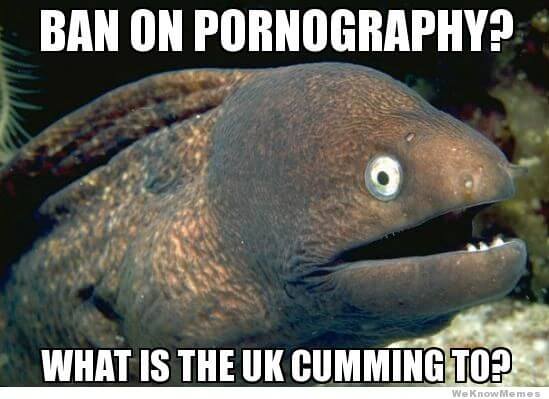 uk-porn-ban-meme