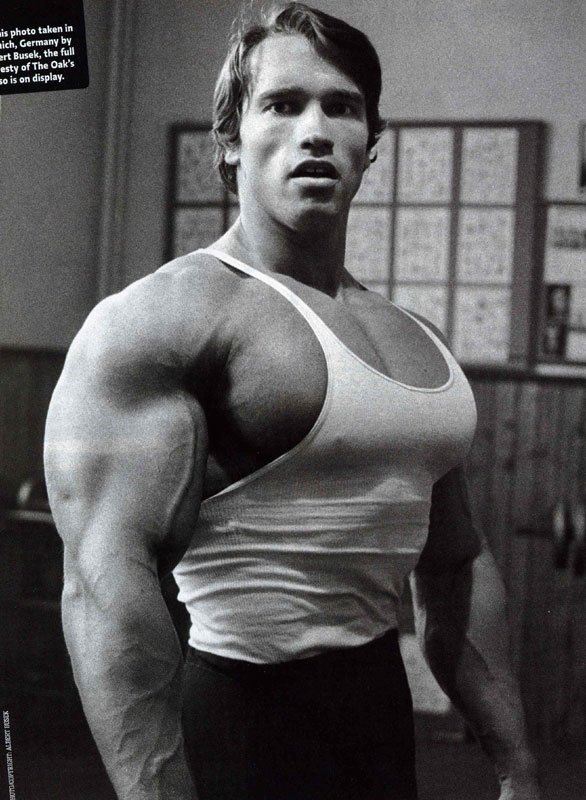 Arnold-Schwarzenegger-Chest-2