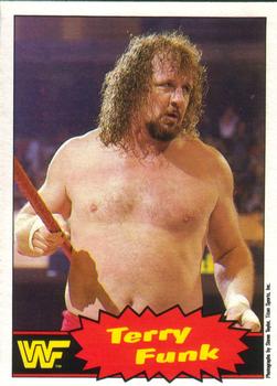 terry funk