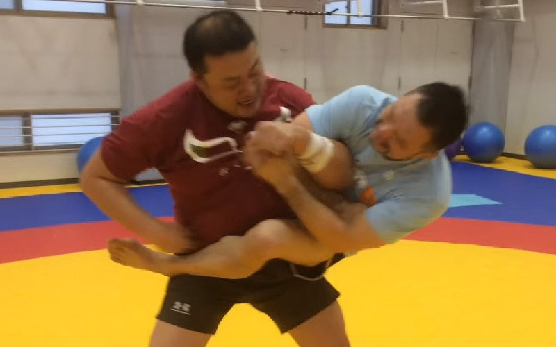 standingarmbar