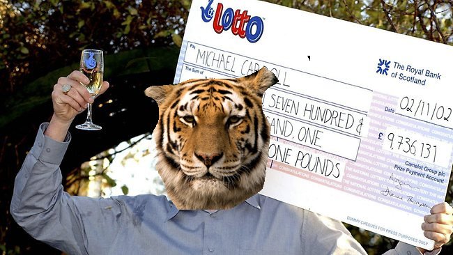 tiger-lottery