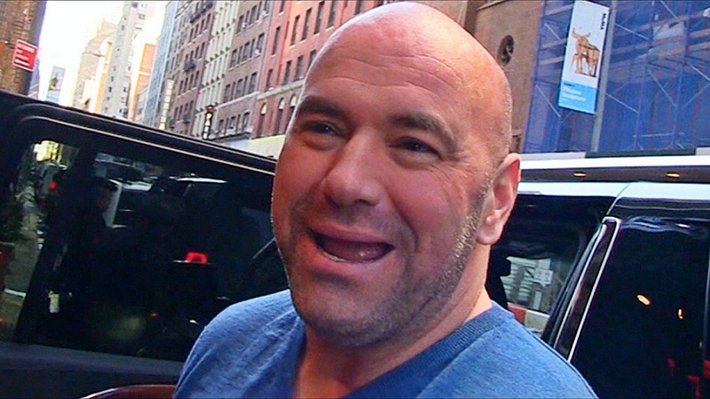 Dana White has said a lot of things about a lot of fighters that haven't gone over well. Photo by TMZ.