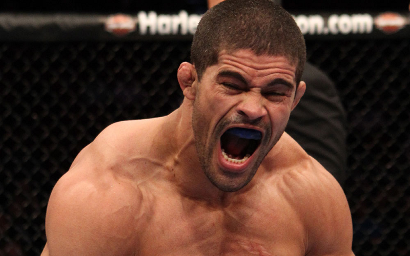 palhares2