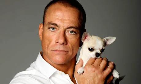 jcvd