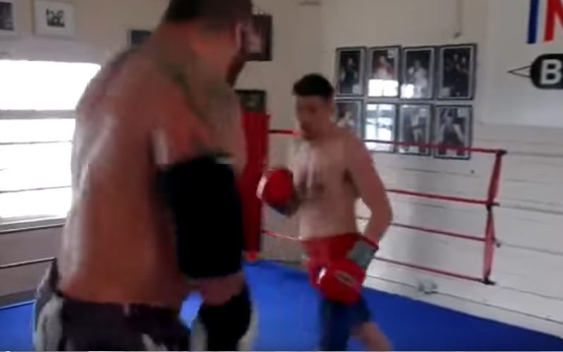 giant-boxer