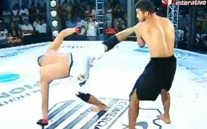 capoeira-kick