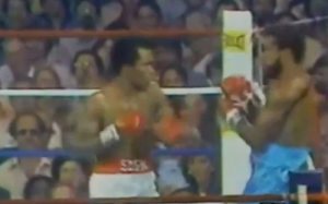 fastest-boxers