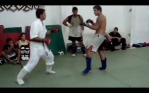 mma-vs-karate