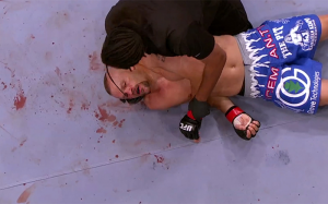 top20-knockouts-ufc