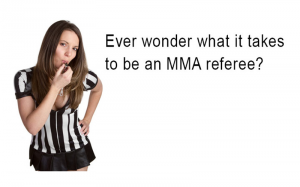 mma-referee-school