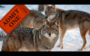 wolf-tickets