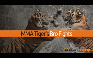 brothers-in-mma