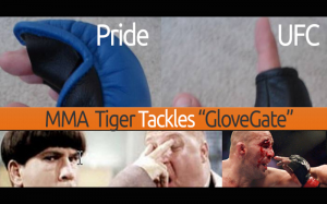 ufc-mma-eye-pokes-new-gloves