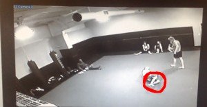 wresting-vs-bjj