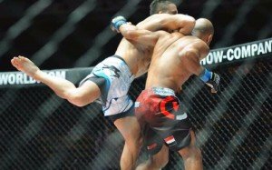 flying-spinning-elbow