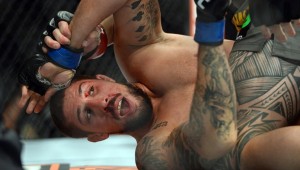 schaub-ko-by-travis-browne