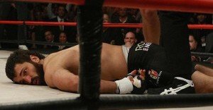 730x380xArlovski.jpg.speedilic.ic.luswYkNToU