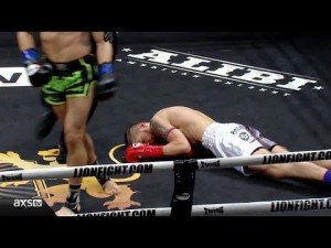 lionfight
