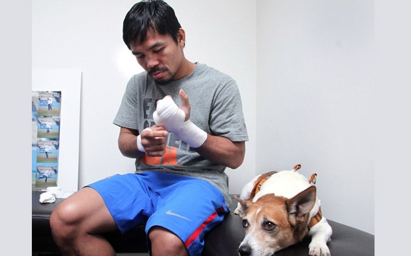 manny-dog