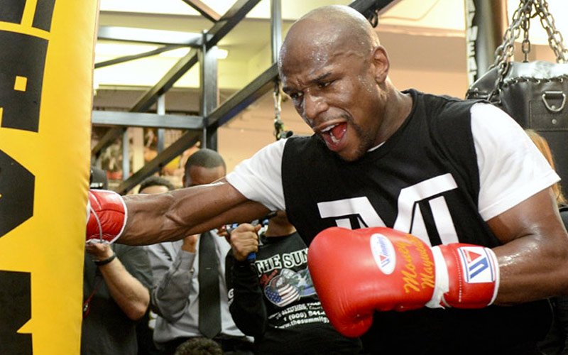 mayweather-wrokout