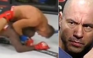 rogan-fake-fight