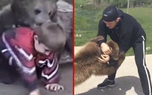 khabib-fighting-bear