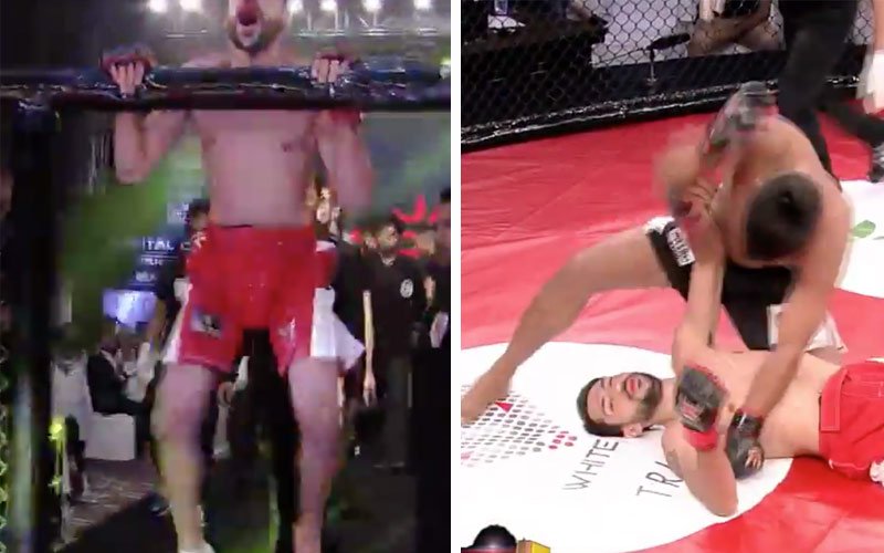 cocky-fighter-ko