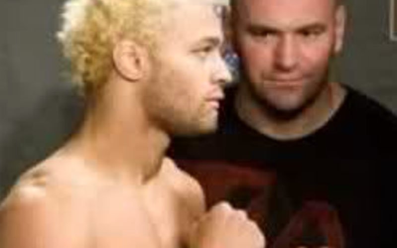 danawhitekoscheck