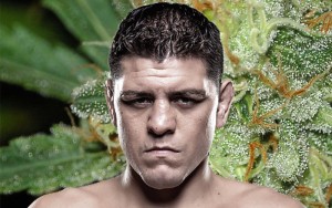 nick-diaz-weed