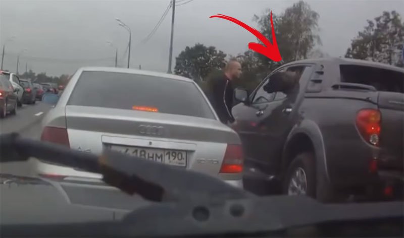 Huge dog stops road rage featured