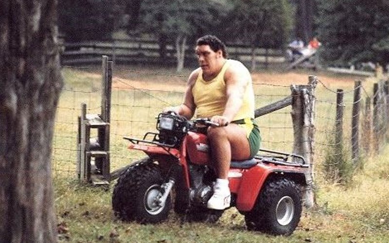 andre-the-giant