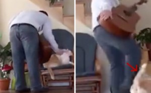 guy-abuses-cat