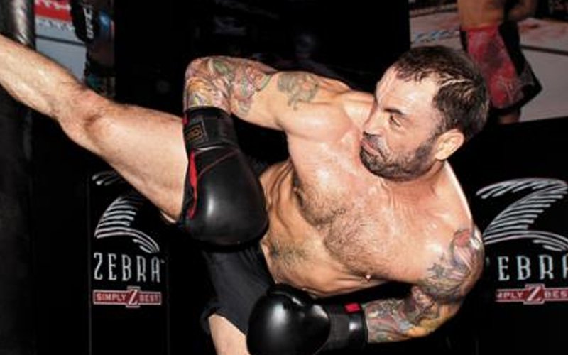 joe-rogan-kick