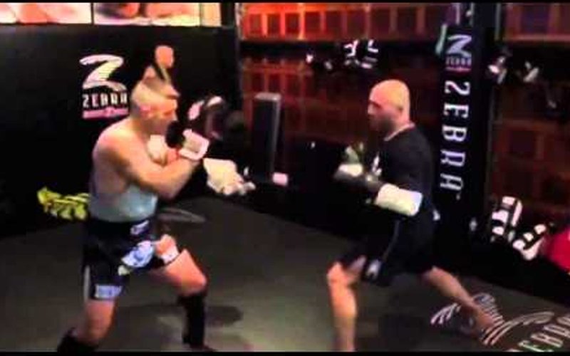 rogan-sparring