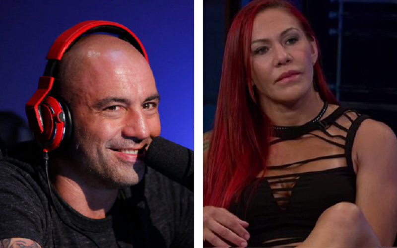 rogan cyborg lead