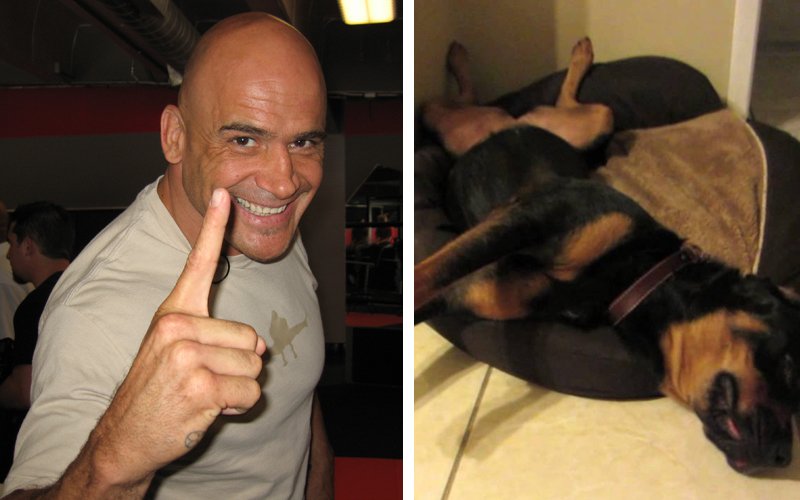 bas-rutten