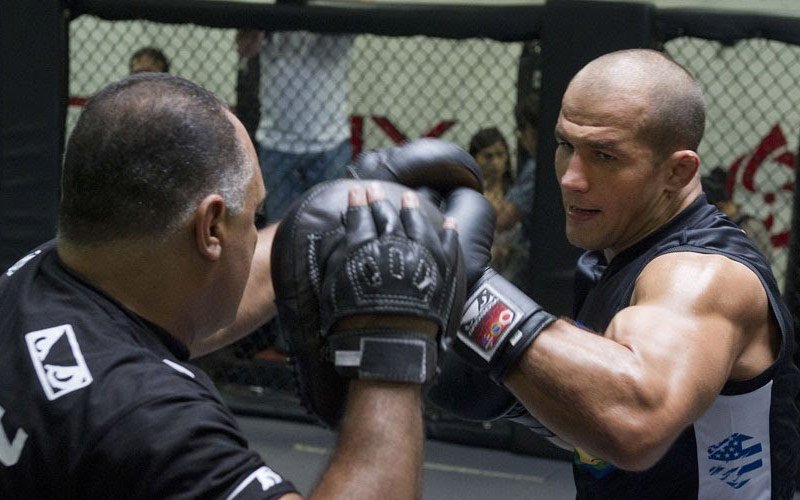 Junior Dos Santos Has Accepted Heavyweight Boxing Champ Tyson Fury’s Challenge To Fight