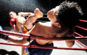 violent-muay-thai