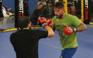 cm-punk