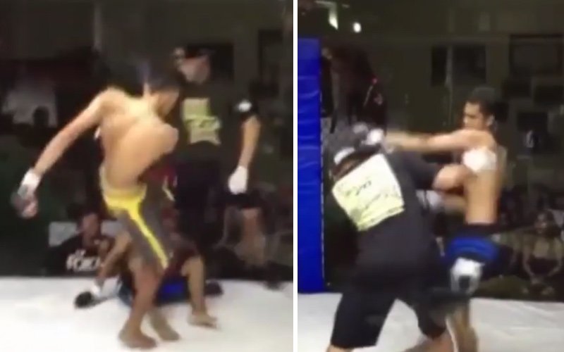 crazy-mma-fight
