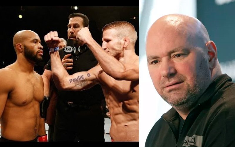 danawhite